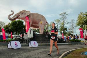 BIB: 
                            <button type="button" onclick="openModal(26529151)" class="btn btn-primary btn-sm float-right btn-popup" data-toggle="modal" data-target=".modal-high-quality">
                        <i class="fas fa-shopping-cart"></i> Add to Cart
                    </button>
                                            <button type="button" onclick="isThisMe(26529151, true)" class="btn btn-success btn-sm float-right btn-popup btn-isme hidden" data-toggle="tooltip" data-placement="bottom" title="นี่คือรูปของคุณใช่ไหม คลิกที่นี่เพื่อเอาเข้าอัลบั้ม">
                        <i class="fas fa-plus"></i> Add to album
                    </button>
                    <button type="button" onclick="isThisMe(26529151, false)" class="btn btn-warning btn-sm float-right btn-popup btn-isnotme hidden">
                        <i class="fas fa-ban"></i> Remove from album
                    </button>